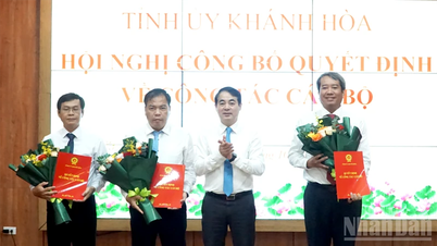 Khánh Hòa điều động, bổ nhiệm lãnh đạo các sở, ngành, địa phương