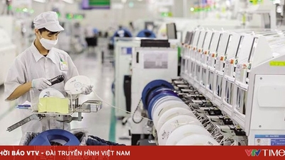 74 % der Unternehmen in Ho-Chi-Minh-Stadt schlagen eine Senkung der Steuern und Gebühren vor