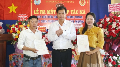 សេចក្តីជូនដំណឹងស្តីពីការបង្កើតសហករណ៍កែច្នៃផលិតផលកសិកម្ម Thanh Trang និងសហករណ៍បង្កាត់ពូជសត្វក្តាន់ Chinh Thuong Sika