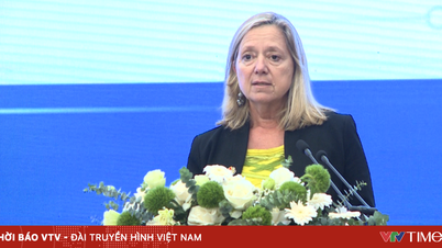 “3 plus 1” strategy promotes innovation in Vietnam