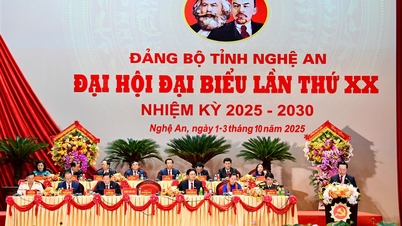 Pembukaan khusyuk Kongres ke-20 Jawatankuasa Parti Wilayah Nghe An, penggal 2025-2030