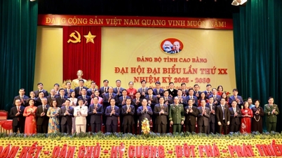 Cao Bang İl Parti Komitesi Yürütme Kurulu, Daimi Kurul, Sekreter ve Yardımcı Sekreterlerinin XX. dönem, 2025 - 2030'da onaylanması
