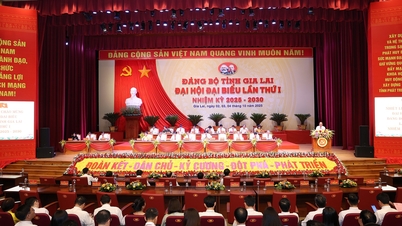 Preparatory session of the 1st Gia Lai Provincial Party Congress, term 2025-2030