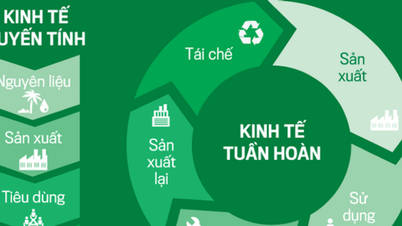 Private economy realizes green, circular and sustainable development model