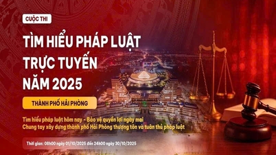 Nettkonkurransen «Learning Law Online in 2025» finner sted om 30 dager (fra kl. 08.00 den 1. oktober 2025 til kl. 14.00 den 30. oktober 2025).