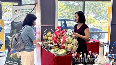 Lang Son has 2 booths introducing products at the 2025 East-West Economic Corridor - Da Nang International Trade, Tourism and Investment Fair