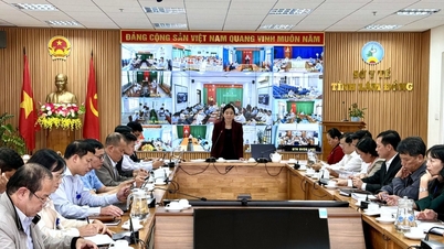 Lam Dong examines and treats more than 4.1 million people