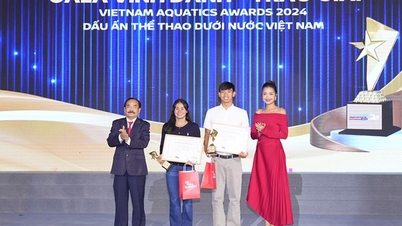 Svømmerne Nguyen Huy Hoang og My Tien er de beste svømmerne i 2024