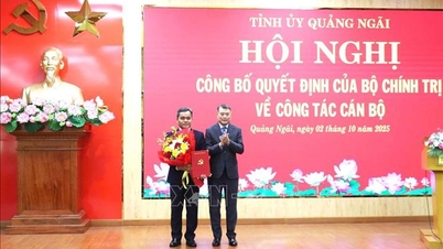 Mot den 14:e partikongressen: Kamrat Ho Van Nien blir sekreterare för Quang Ngai provinsiella partikommitté