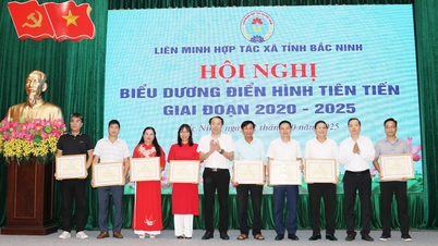 Bac Ninh Province Cooperative Alliance: Commending 20 typical advanced models in the period 2020-2025