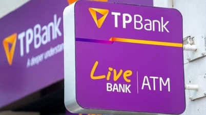 TPBank Quang Nam has many limitations in credit and guarantee activities.