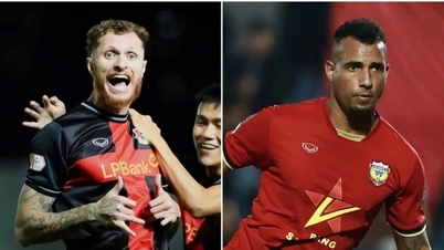 Southeast Asian newspaper comments on Vietnam team about to have 2 naturalized players
