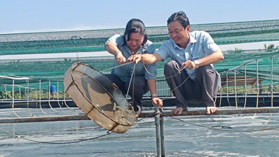 ការស្ទង់មតិលើការចិញ្ចឹមបង្គាដែលពឹងផ្អែកខ្លាំង អនុវត្តបច្ចេកវិទ្យាខ្ពស់។