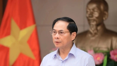 Deputy Prime Minister: Selection of investors for LNG power projects is very slow
