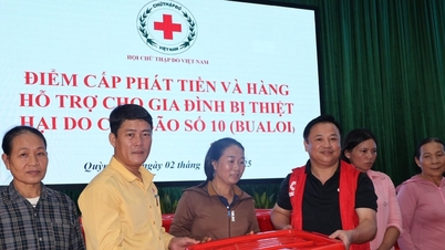 สภากาชาดเวียดนามสนับสนุนเงิน 600 ล้านดองเพื่อช่วยเหลือผู้ได้รับผลกระทบจากพายุลูกที่ 10 ในตำบลกวิญฟู