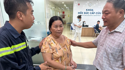 ភ្លៀង​និង​ខ្យល់​បាន​បណ្តាល​ឱ្យ​ដើមឈើ​ជាច្រើន​ដួលរលំ។