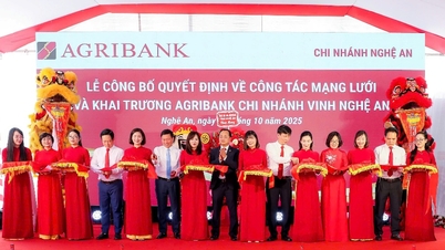 Agribank promovează aranjarea unei rețele de organizare pentru a crește spațiul de dezvoltare al „Tam Nong”
