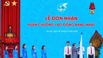 អគ្គលេខាបក្ស To Lam ស្នើ “របកគំហើញយុទ្ធសាស្ត្រ” ចំនួន ១០ សម្រាប់ចលនាស្ត្រីវៀតណាមក្នុងយុគសម័យថ្មី