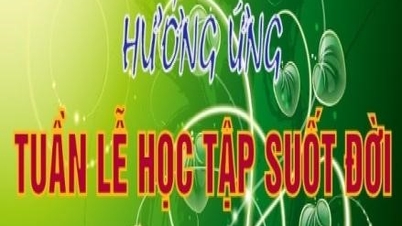Ca Mau - រៀបចំសប្តាហ៍ឆ្លើយតបការរៀនសូត្រពេញមួយជីវិតក្នុងឆ្នាំ 2025