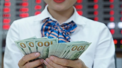 Harga USD di bank telah jatuh mendadak.