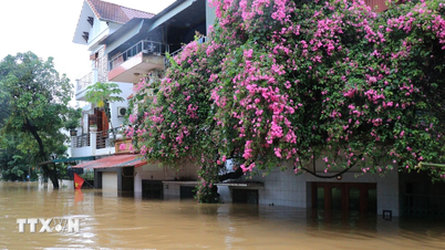 Lao Cai: Hentikan lawatan ke Sa Pa, Y Ty dan kawasan berisiko banjir kilat