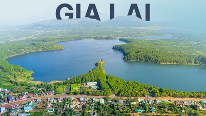 Gia Lai កើនឡើង 10.5% ក្នុងមួយឆ្នាំពី "5 សរសរស្តម្ភ 4 របកគំហើញ"