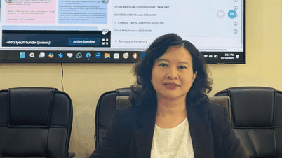 베트남, WTO 원산지 규정 위원회 회의에서 발언