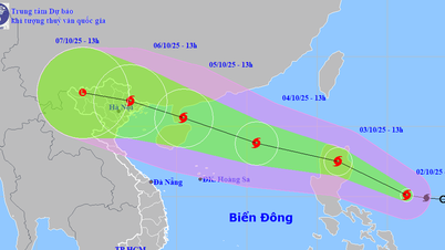 Da Nang verwaltet Schiffe, die auf See fahren, streng und reagiert proaktiv auf Sturm Matmo