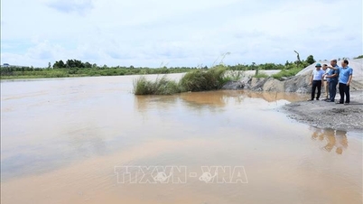 Hai Phong: Avertizare de inundații pe râurile Thai Binh, Kinh Thay, Luoc și Van Uc