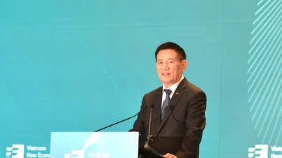Deputy Prime Minister Ho Duc Phoc: New economic model is the order of the times