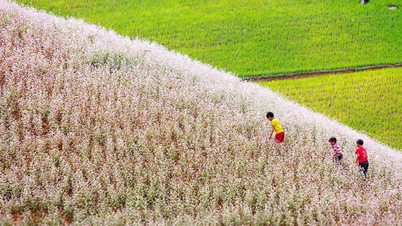 Siste reiseopplevelse i Ha Giang