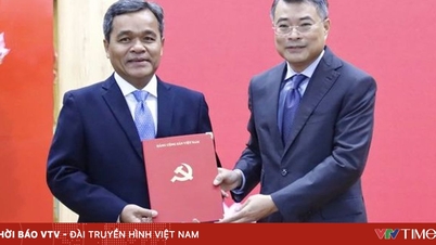 Herr Ho Van Nien wurde zum Sekretär des Parteikomitees der Provinz Quang Ngai ernannt.