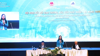 Logistik dan Zona Perdagangan Bebas Da Nang: Kekuatan pendorong baru bagi ekspor wilayah Tengah