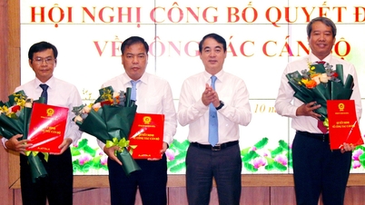 Pelantikan Ketua Pejabat Jawatankuasa Rakyat Wilayah Khanh Hoa, 2 pengarah jabatan dan 3 setiausaha parti wad dan komune