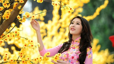 Ministry of Home Affairs proposes 9 consecutive days off for Lunar New Year