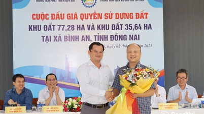 Dong Nai បានជោគជ័យក្នុងការដេញថ្លៃដី "មាស" ចំនួនពីរ