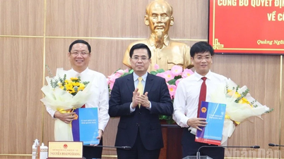 Quang Ngai announces the Prime Minister's Decision on personnel work