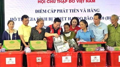 Le Comité central de la Croix-Rouge vietnamienne fournit une deuxième série de secours d'urgence aux victimes des inondations