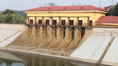 Bac Ninh៖ អនុវត្តការងារសេវាសាធារណៈ