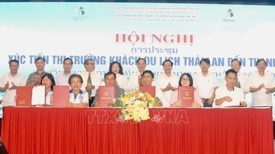 Thanh Hoa thai turisztikai piacának népszerűsítése