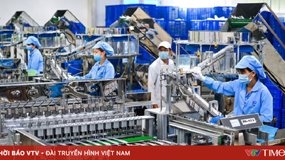 Vietnam reestructura el juego del capital extranjero