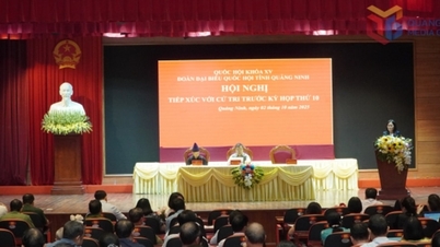 Die Delegation der Nationalversammlung der Provinz Quang Ninh traf sich vor der 10. Sitzung mit Wählern aus 14 Bezirken und Gemeinden.