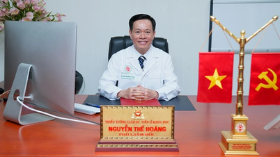 Two Vietnamese professors recognized as academicians of the World Academy of Sciences