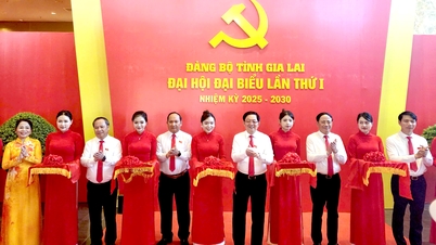 Abertura da exposição fotográfica para dar as boas-vindas ao 1º Congresso do Comitê Provincial do Partido de Gia Lai