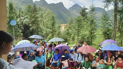 Ehrung der 15 Kollektive und Einzelpersonen, die den Vietnamese Women's Award 2025 gewonnen haben