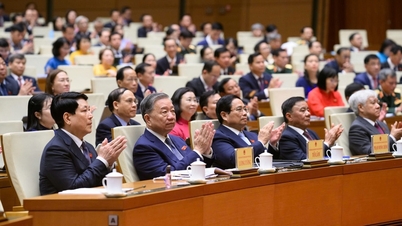 今朝、第15代国会第10回会議が開会され、49件の法案審議と人事作業が行われた。