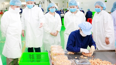 農村工業製品は市場開拓に努める