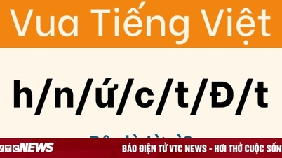 Jangan mengaku sebagai Raja Vietnam jika Anda salah dalam memecahkan teka-teki ini