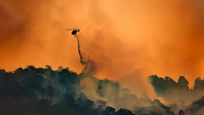 Kadar CO2 mencapai rekor tertinggi, menyebabkan pemanasan global semakin parah