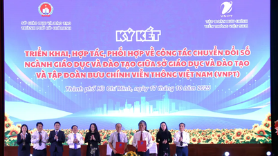 VNPT promeut la transformation numérique dans le secteur de l'éducation à Hô-Chi-Minh-Ville